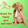 My Name is Jay, Cute Stuffed Parody Joint Dog Toy, Funny Squeaky Weed Toy, Cool Plush Novelty 420 Gift for Pets & Their Owners